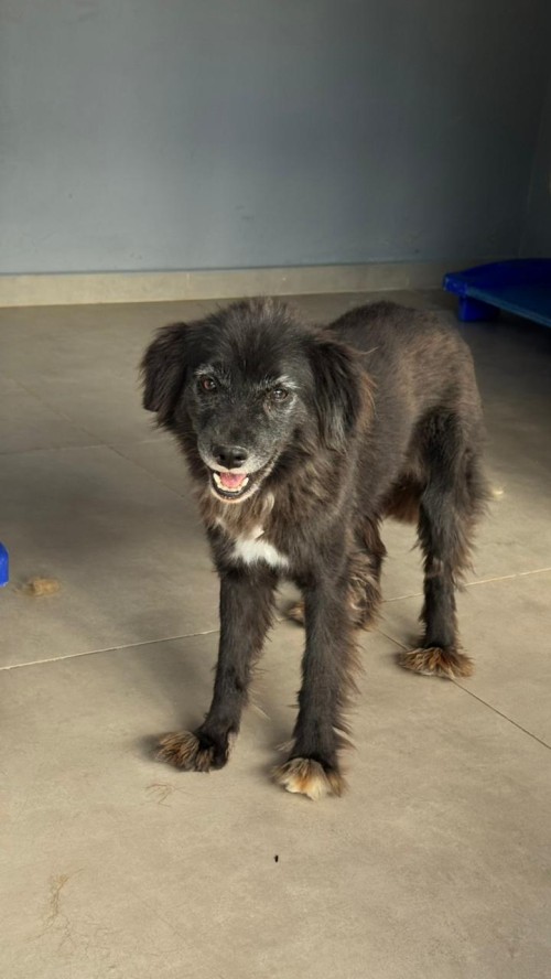 WhatsApp Image 2026-01-22 at 09