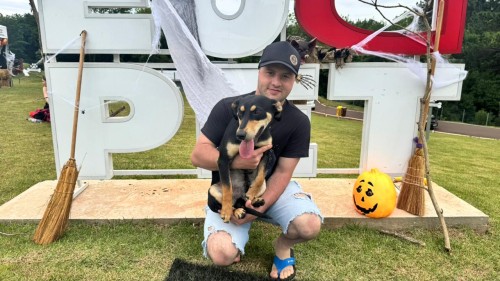 Diretoria de Bem-Estar Animal registra mais de 100 adoções no período de um ano