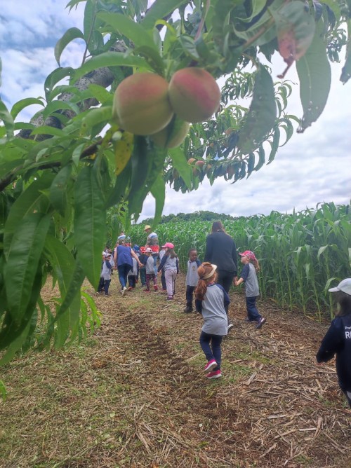 WhatsApp Image 2025-11-19 at 09