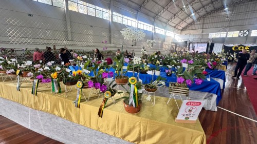 Exposição de Orquídeas celebra o Dia do Orquid�