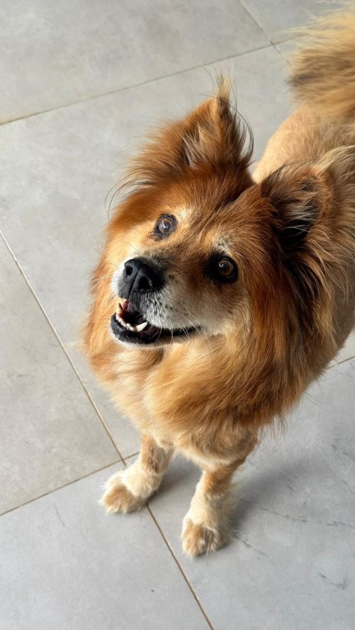 WhatsApp Image 2026-01-22 at 09