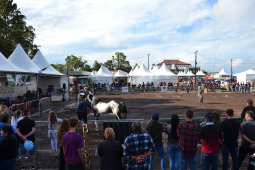 1ª Mostra Regional Quarto de Milha e Paint Horse (2)