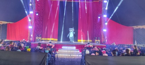 Crianças da Escola Estevam Carraro vivenciam encanto e diversão em circo